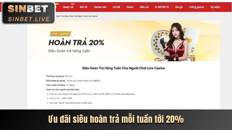 Hoàn trả hàng ngày tại FT179